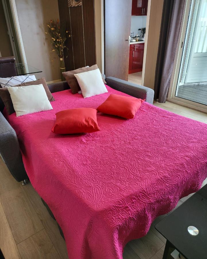 T2 Classe 4 Etoiles Avec Jardin, Piscine, Vue Mer A Saint-Gilles-Les-Bains Eksteriør billede